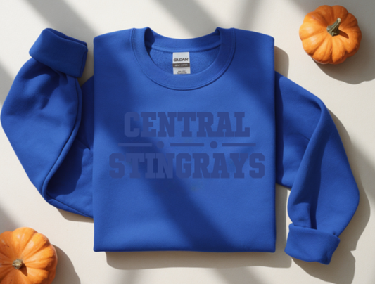 Central Elementary Tone on Tone Sweatshirt